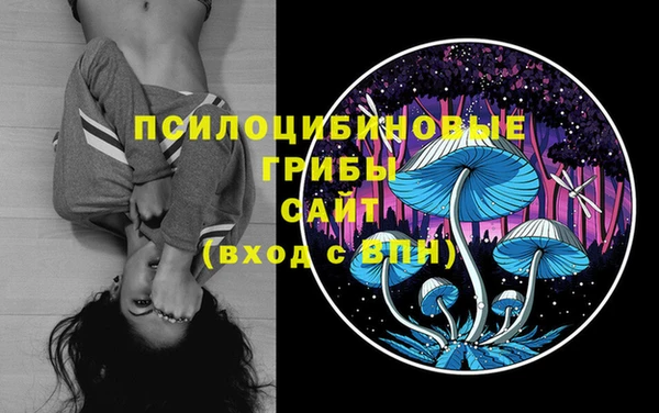 шишки Абдулино